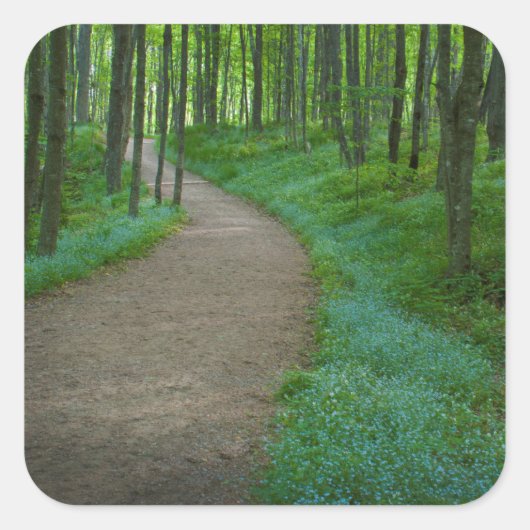 米国、ミシガン。鉱山労働者の滝の追跡 スクエアシール (正面)