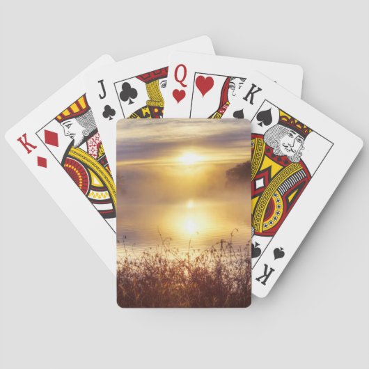 米国、ミズーリ州、カンザスシティメトロエリア、フレミング州 トランプ (裏面)