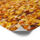 米国、ミズーリ、Boone County、Maple Forest in ポスター (角)