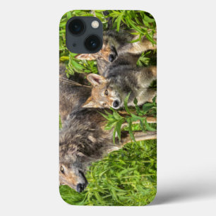 米国、ミネソタの砂岩、ミネソタの野性生物12 iPhone 13ケース