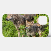 米国、ミネソタの砂岩、ミネソタの野性生物12 Case-Mate iPhoneケース (裏面 (横))