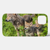 米国、ミネソタの砂岩、ミネソタの野性生物12 Case-Mate iPhoneケース (裏面 (横))