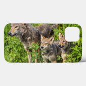 米国、ミネソタの砂岩、ミネソタの野性生物12 Case-Mate iPhoneケース (裏面 (横))