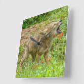 米国、ミネソタの砂岩、ミネソタの野性生物17 スクエア壁時計 (傾斜)