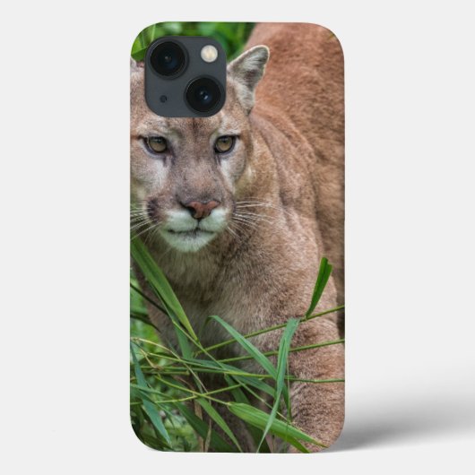 米国、ミネソタの砂岩、ミネソタの野性生物18 Case-Mate iPhoneケース (裏面)