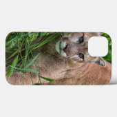 米国、ミネソタの砂岩、ミネソタの野性生物18 Case-Mate iPhoneケース (裏面 (横))