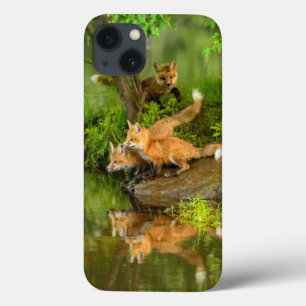 米国、ミネソタの砂岩、ミネソタの野性生物7 iPhone 13ケース