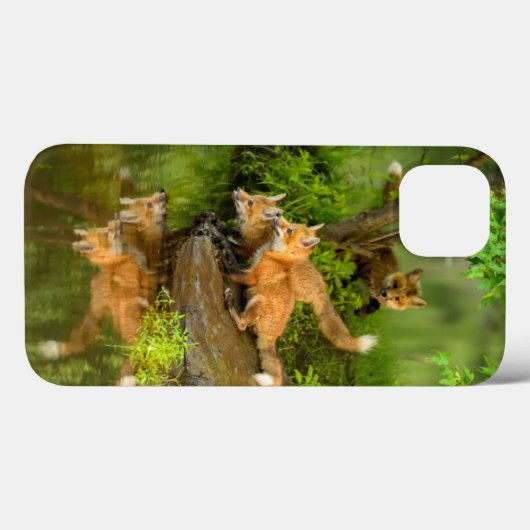 米国、ミネソタの砂岩、ミネソタの野性生物7 Case-Mate iPhoneケース (裏面 (横))