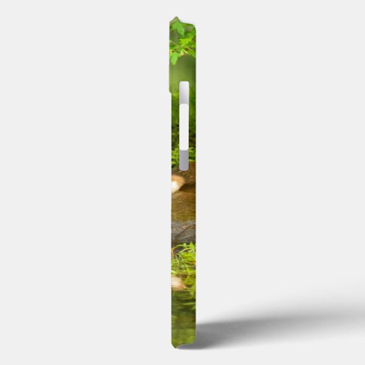 米国、ミネソタの砂岩、ミネソタの野性生物7 Case-Mate iPhoneケース (裏面 / 左)