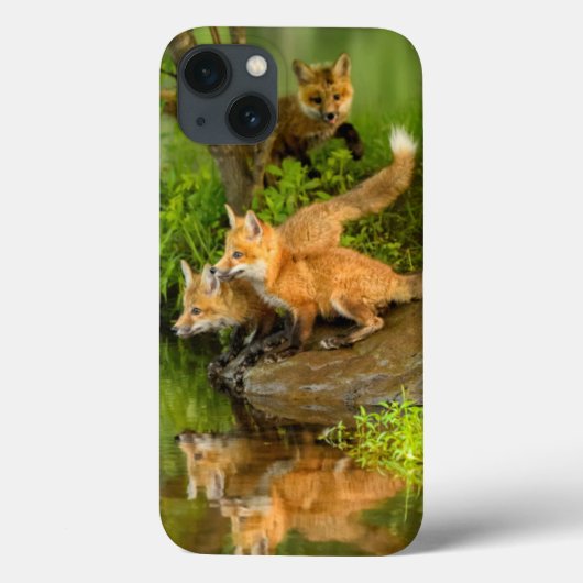 米国、ミネソタの砂岩、ミネソタの野性生物7 Case-Mate iPhoneケース (裏面)