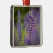 米国、ミネソタ北東部、シルバー湾近く。 メタルオーナメント (右)