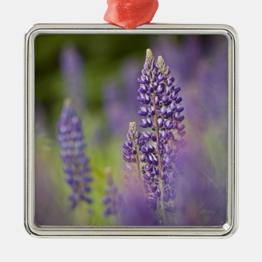 米国、ミネソタ北東部、シルバー湾近く。 メタルオーナメント (正面)