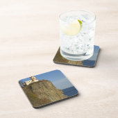 米国、ミネソタ州。 スプリットロックライトハウスオンレイク コースター (右側)