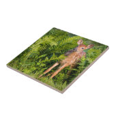 米国、ミネソタ、サンドストーン、ミネソタ野生生物10 タイル (側面)