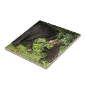 米国、ミネソタ、サンドストーン、ミネソタ野生生物13 タイル (側面)