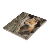 米国、ミネソタ、サンドストーン、ミネソタ野生生物14 タイル (側面)