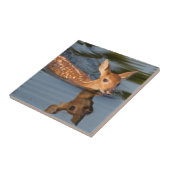 米国、ミネソタ、サンドストーン、ミネソタ野生生物19 タイル (側面)