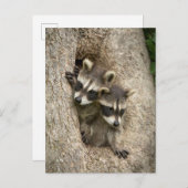 米国,ミネソタ,サンドストーン,ミネソタ野生生物7 ポストカード (正面/裏面)