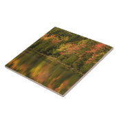 米国；メイン州；アカディアNP.秋反射 タイル (側面)