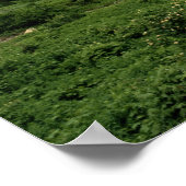 米国、モンタナ氷河の国立公園 ポスター (角)