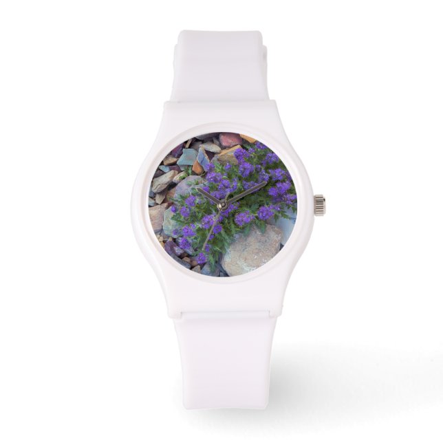 米国、モンタナ氷河の国立公園 腕時計 (正面)