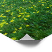 米国，モンタナ，氷河の国立公園，ローガンパス ポスター (角)