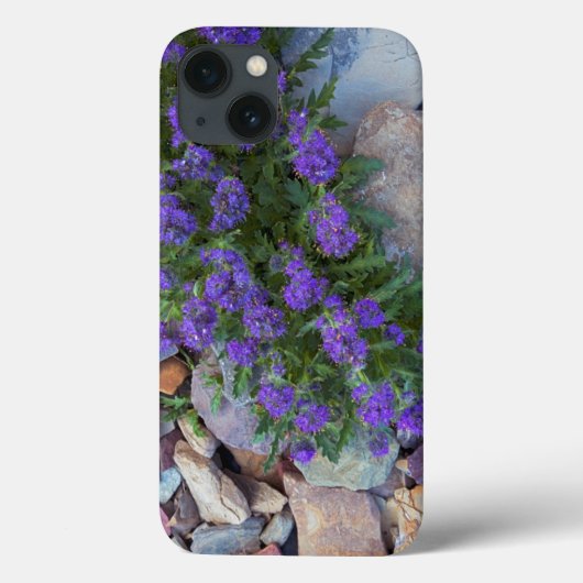 米国、モンタナ、氷河国立公園 Case-Mate iPhoneケース (裏面)