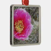 米国、ユタ州、カニョンランズNP州、砂漠のプリックリー·ペア メタルオーナメント (右)