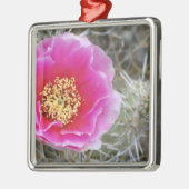 米国、ユタ州、カニョンランズNP州、砂漠のプリックリー·ペア メタルオーナメント (左)