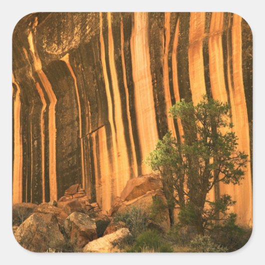 米国,ユタ州,キャピトルリーフ国立公園 スクエアシール (正面)