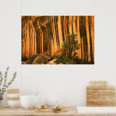 米国，ユタ州，キャピトルリーフ国立公園 ポスター (キッチン)