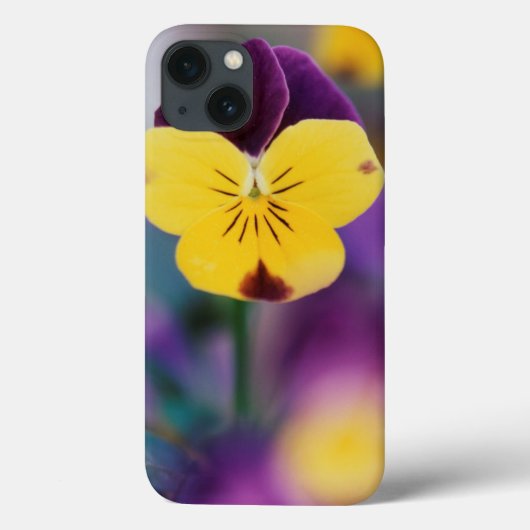 米国、ユタ州、ビオラ·トリカラーのクローズアップ(庭) Case-Mate iPhoneケース (裏面)