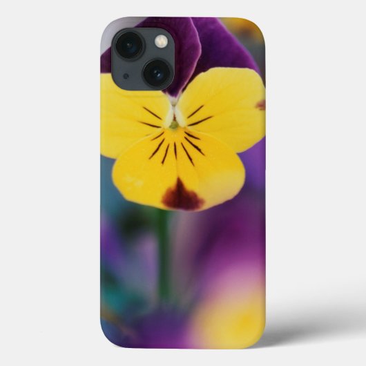 米国、ユタ州、ビオラ·トリカラーのクローズアップ(庭) Case-Mate iPhoneケース (裏面)