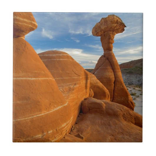 米国，ユタ州，大階段エスカランテ – ナショナル タイル (正面)