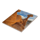 米国，ユタ州，大階段エスカランテ – ナショナル タイル (側面)