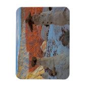 米国，ユタ州，大階段国立2 マグネット (縦)