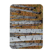 米国,ユタ,ウインタ – ワサッチ – キャッシュ国有林2 マグネット (縦)