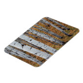 米国,ユタ,ウインタ – ワサッチ – キャッシュ国有林2 マグネット (左側)