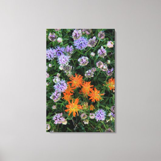 米国，ユタ，ウインタ – ワサッチ – キャッシュ国有林3 キャンバスプリント (正面)