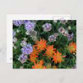 米国，ユタ，ウインタ – ワサッチ – キャッシュ国有林3 ポストカード (正面/裏面)