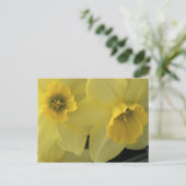 米国、ユタ、キャッシュ・バレー・ダッフォドール ポストカード (スタンド正面)