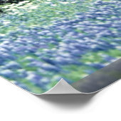 米国,ラノ,テキサス州, Bluebonnets ポスター (角)