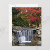 米国、レドモンド、ワシントン。秋の色。 ポストカード (正面/裏面)