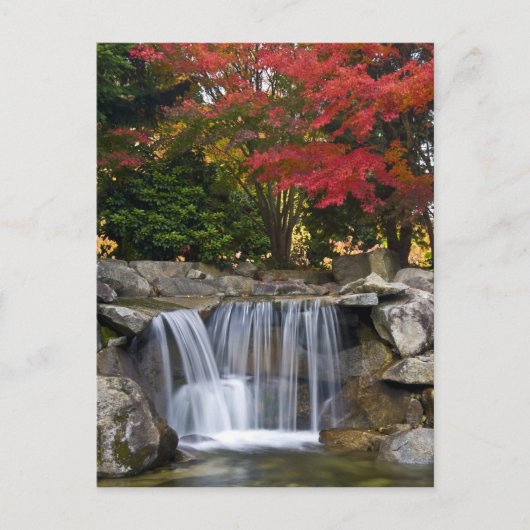 米国、レドモンド、ワシントン。秋の色。 ポストカード (正面)