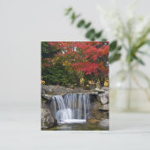 米国、レドモンド、ワシントン。秋の色。 ポストカード (スタンド正面)