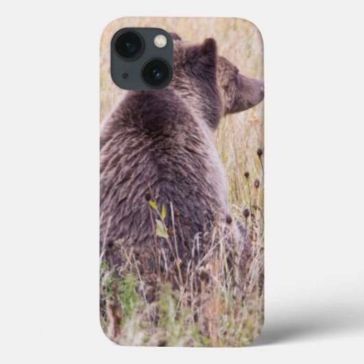 米国、ワイオミングのイエローストーン国立公園、ハイイログマ2 Case-Mate iPhoneケース (裏面)