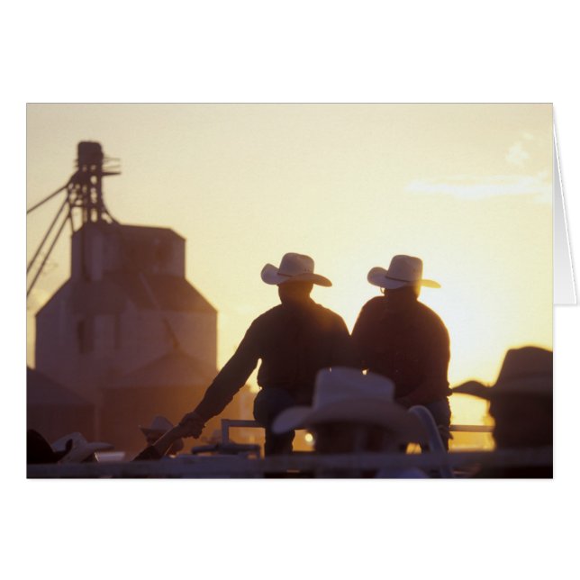 米国、ワイオミングのマツ絶壁。 2人の振動 (正面横)