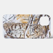 米国、ワイオミングの雪で覆われたに坐るボブキャット Case-Mate iPhoneケース (裏面 (横))
