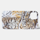 米国、ワイオミングの雪で覆われたに坐るボブキャット Case-Mate iPhoneケース (裏面 (横))