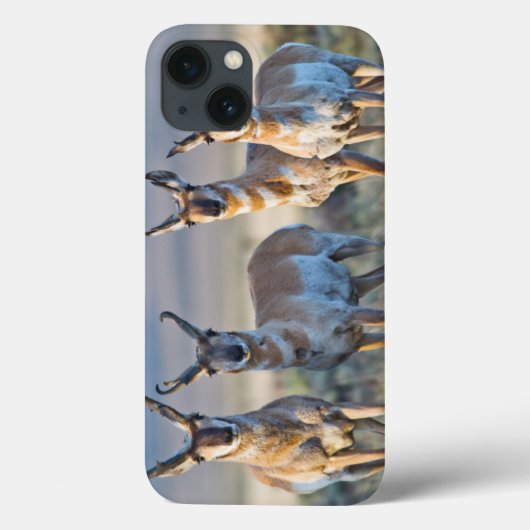 米国、ワイオミングの4つのPronghornカモシカの木びき台 Case-Mate iPhoneケース (裏面)